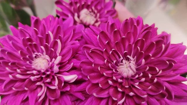 Обзор подарков для девушек к 14 февраля в г. Ганцевичи. смотреть онлайн