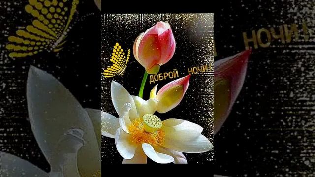 ХОРОШЕГО ВЕЧЕРА.. смотреть онлайн