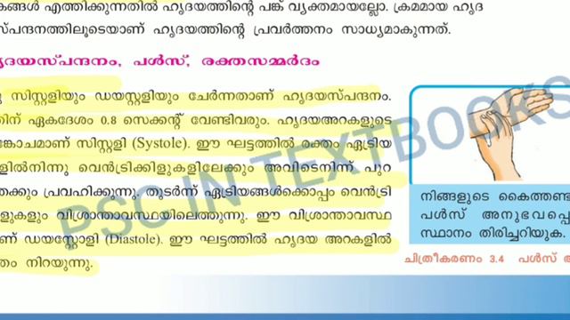 #scertbiology #biology Class 9||Biology ||Simple nutrients into cells Malayalam смотреть онлайн