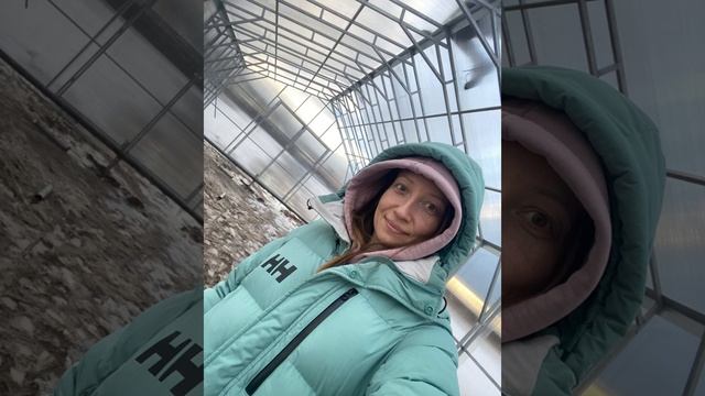 400 кустов петунии на подоконнике! Как сэкономить на семенах!? #петуния#рассада смотреть онлайн