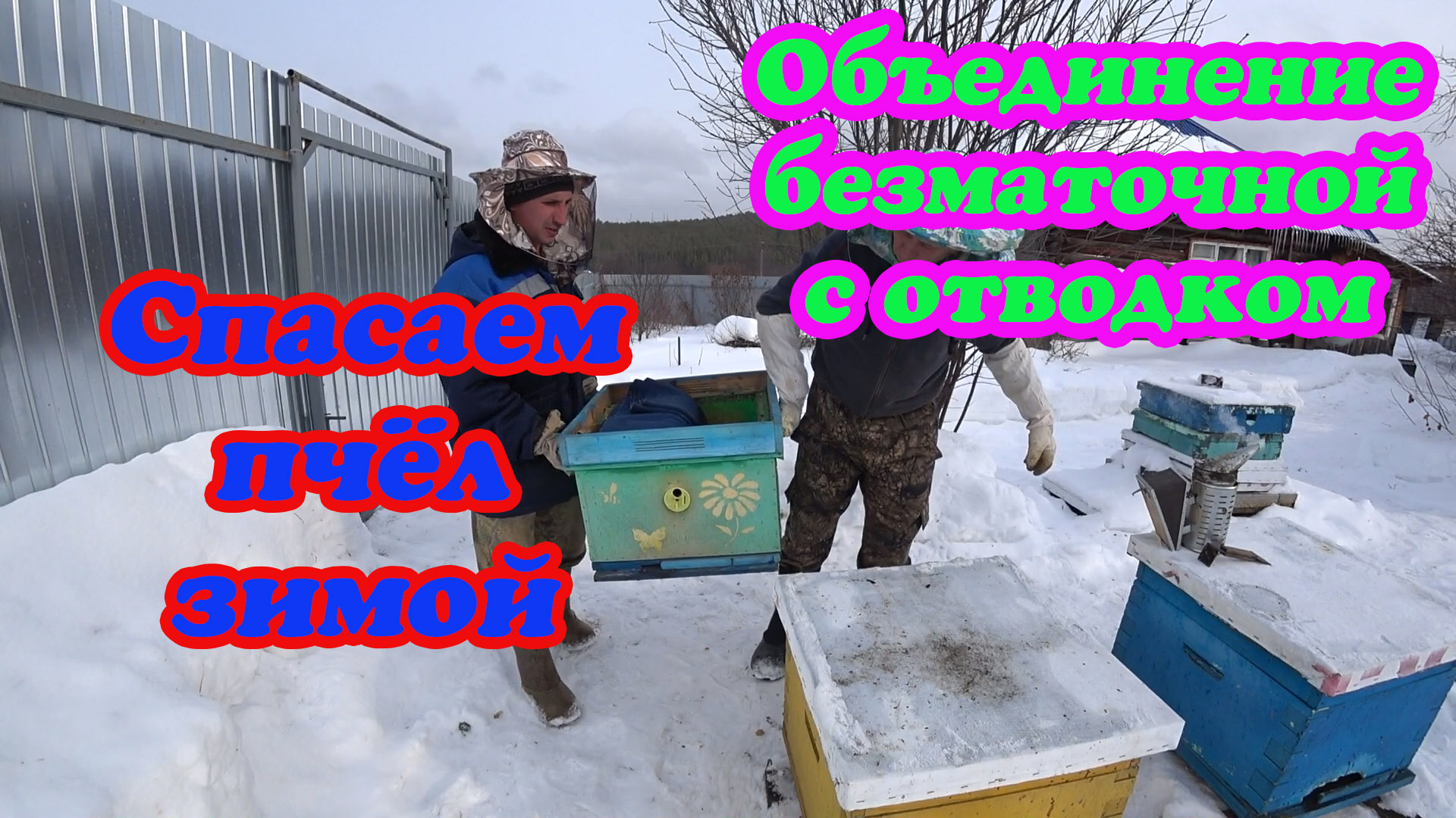 ЭКСТРЕННО СПАСАЕМ ПЧЁЛ БЕЗ МАТКИ В ЗИМНИЙ ПЕРИОД смотреть онлайн