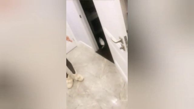 Тим стебётся над Мари Сенн // XO LIFE