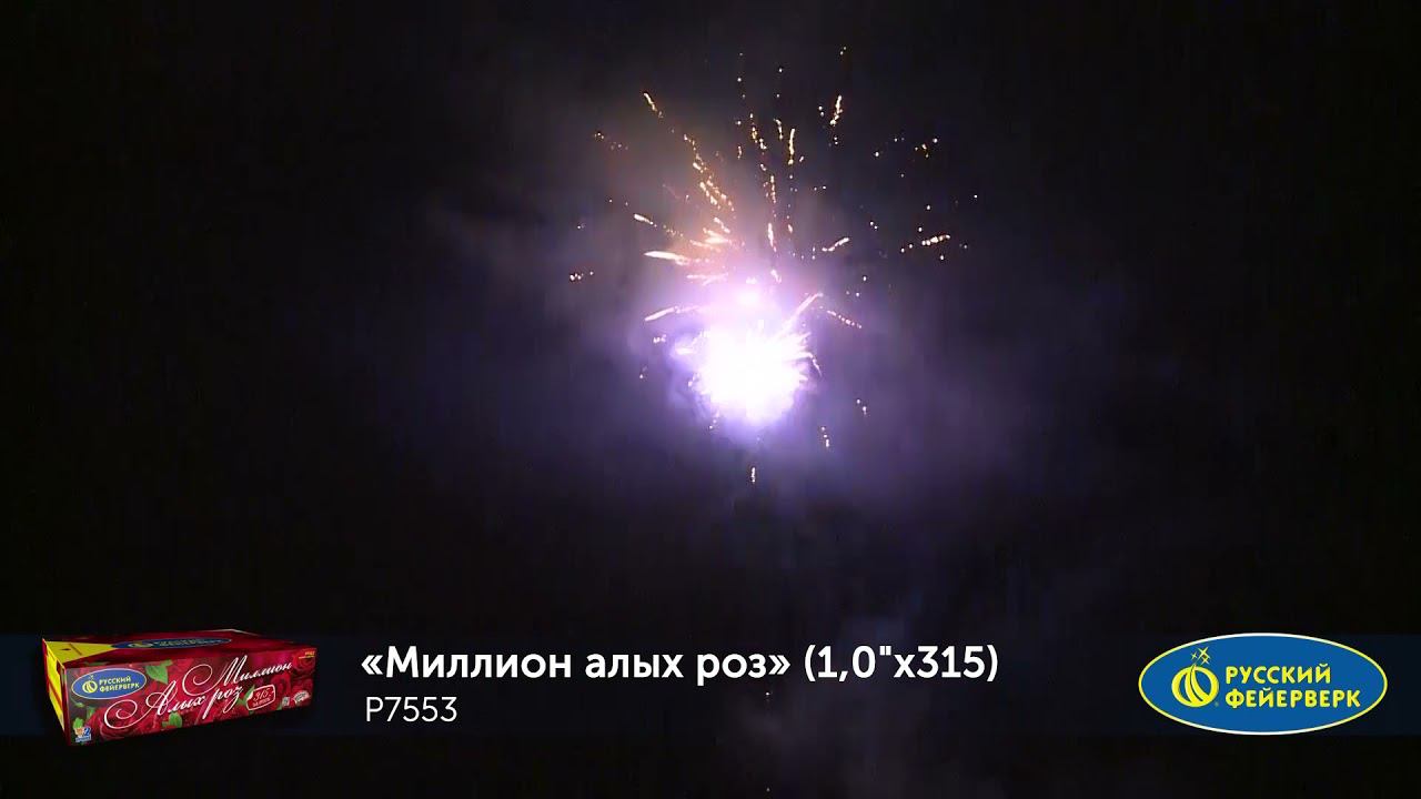 P7553 смотреть онлайн
