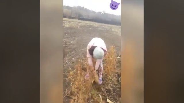 Люблю смотреть как негры пашут)))) смотреть онлайн