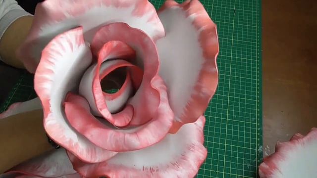 Ростовая кустовая роза смотреть онлайн