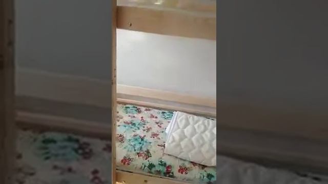 Отзыв о детском матрасе Димакс Фантазёр