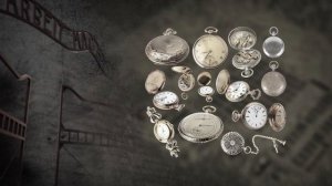 АУШВИЦ. ИНСТРУКЦИЯ ПО НЕ ПРЕМИНЕНИЮ