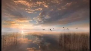 Всем нам свойственна тревога по дороге на тот свет