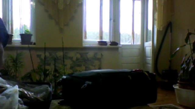 Видео с веб-камеры. Дата: 3 ноября 2013 г., 15:44.