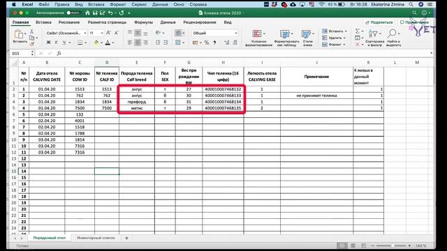Учет во время сезона отела. Система и рутина смотреть онлайн