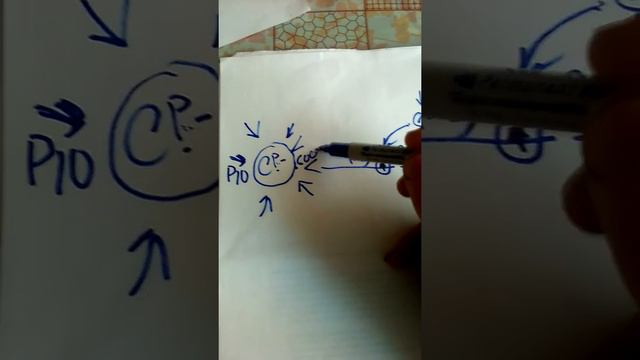Притяжения, что нас притягивает. смотреть онлайн