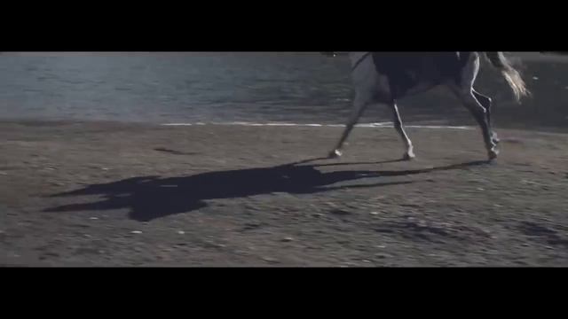 LP - Suspicion смотреть онлайн