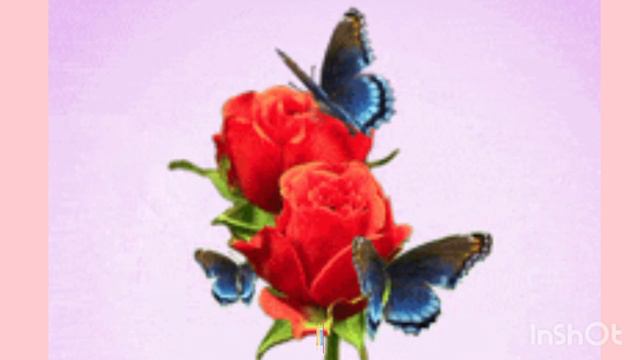 Татары, башкиры певцы поют песни на русском языке 👍💞. Сборник песен первый. смотреть онлайн