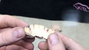 Это важно знать !!!! Для зубных техников