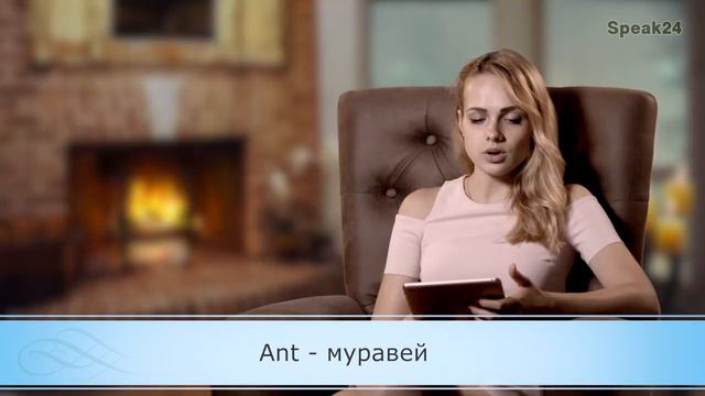Часть 3. Пример урока Speak24. The Ant and the Grasshopper, Муравей и Кузнечик. Словарь. смотреть онлайн