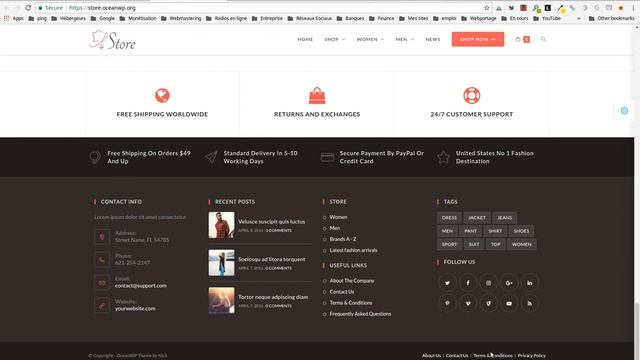 Présentation d’OceanWP thème WordPress gratuit 100% personnalisable смотреть онлайн