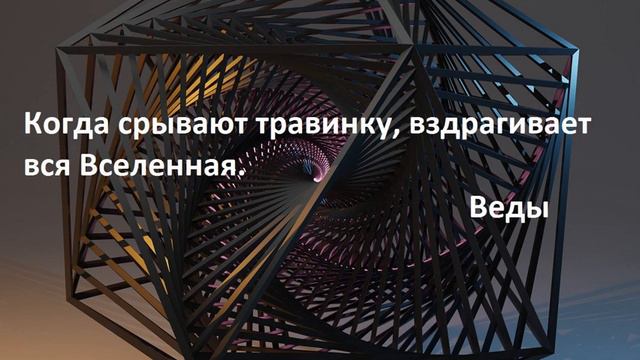 Мудрые мысли о Вселенной смотреть онлайн