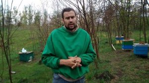 Вода на пасеке. Поилка для пчел. Как приучить пчел к поилке