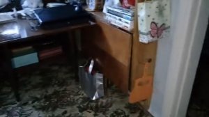 ОН ПРИШЕЛ!!!  Вызов духа... SMILE DOG/СМАЙЛ ДОГ...