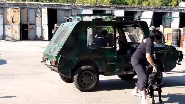 Показательные выступления на турнире по ЗКС смотреть онлайн