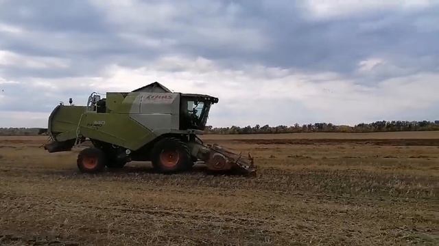 Время убирать Урожай I Алексеевский район I Самарская область смотреть онлайн