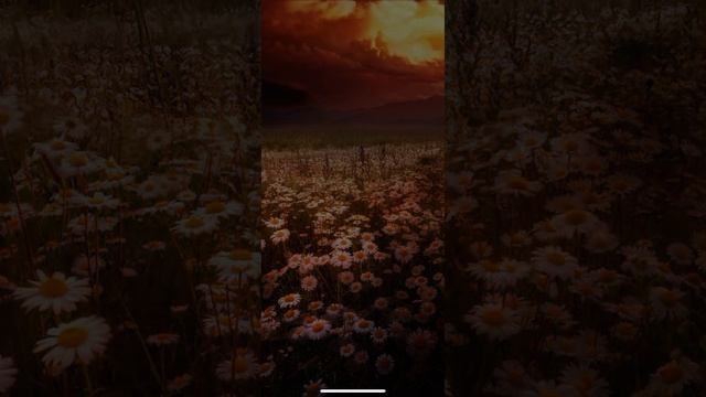 Поцелуй с всадником апокалипсиса Голодом за 56?Секрет небес 2 « 2 сезон 9 серия» Вики и Голод смотреть онлайн