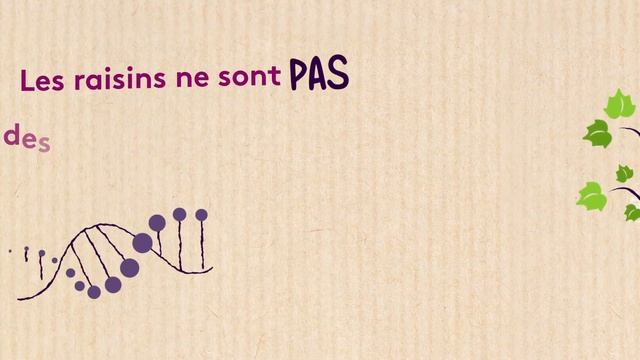 Grain de Plaisir - Motion design 1m30 pour tout comprendre смотреть онлайн