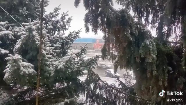 Падал первый снег 23.11.21(2) смотреть онлайн