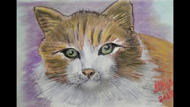 "Кошка беспородная" (клип + графика Ирины Чусовитиной) смотреть онлайн