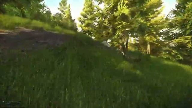 Бомжуем в таркове 1 смотреть онлайн