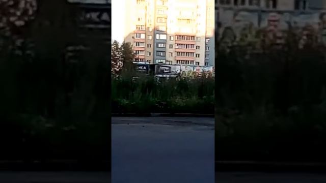 Хваленная « Тополинка» смотреть онлайн