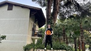 Цигун - музыка для медитации большое дерево | Qigong - big tree meditation music