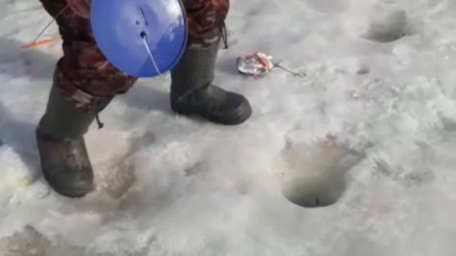 Зарыбление форели 100 кг смотреть онлайн