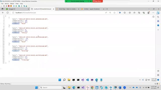 Python Calls C# Web Api смотреть онлайн