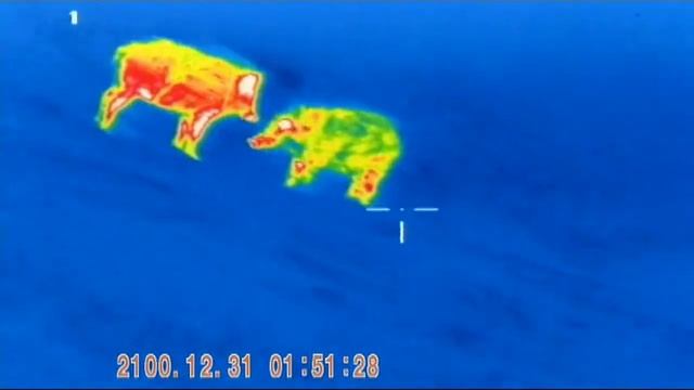 Тепловизионный прицел Fortuna ONE 3M(thermal sight Fortuna ONE 3M) смотреть онлайн