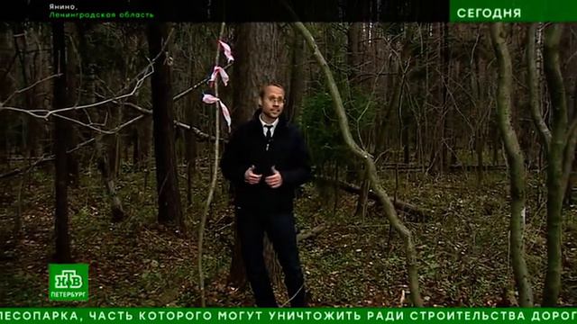 Зеленый Фронт Ржевский лесопарк защищают от строительства дороги смотреть онлайн