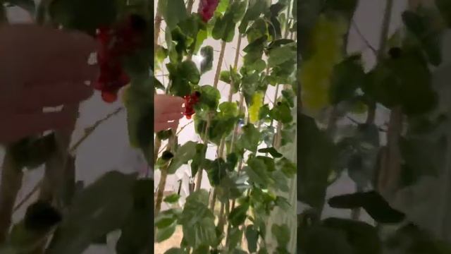 Продажа коммерческого помещения (салона красоты) г. Краснодар смотреть онлайн