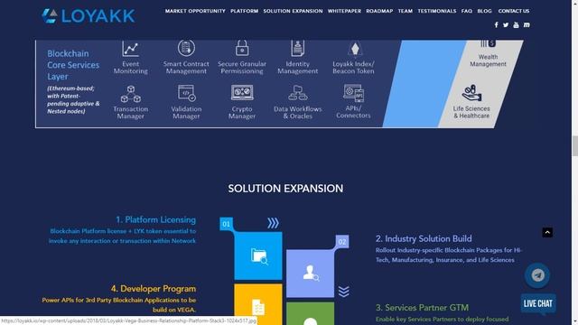 Loyakk - Особенности проекта! смотреть онлайн