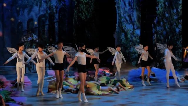 «Роман бутона розы и мотылька»