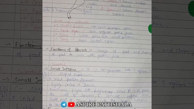 Structural organisation, histology and function of gastrointestinal tract(GIT) | Zoology | #notes смотреть онлайн