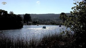 اجمل ما غنت فيروز ☕️ فيروزيات الصباح ☕️ #fairouz