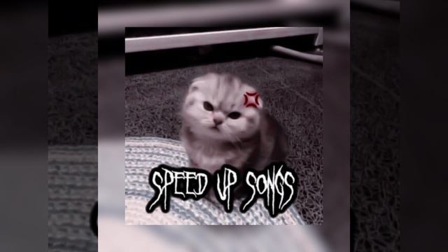 Давид Туров/Женя Лизогуб-баю бай speed up songs смотреть онлайн