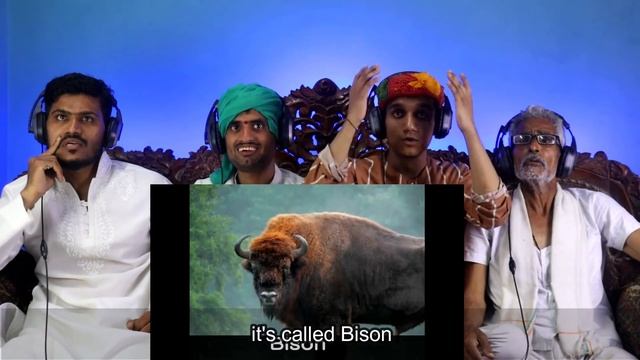 Villagers React To National Animals of Countries ! Tribal People React To National Animals смотреть онлайн