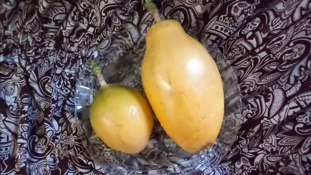 Passiflora alata gigante смотреть онлайн