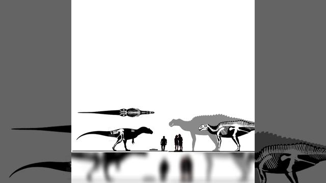 Allosaurus And Gryposaurus Size Comparison