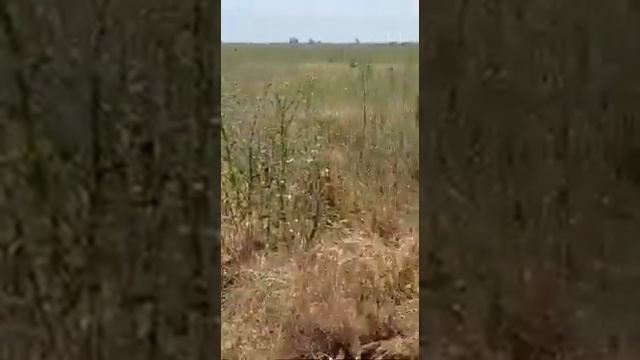 Участки в с.Штормовое, Евпатория, Крым смотреть онлайн