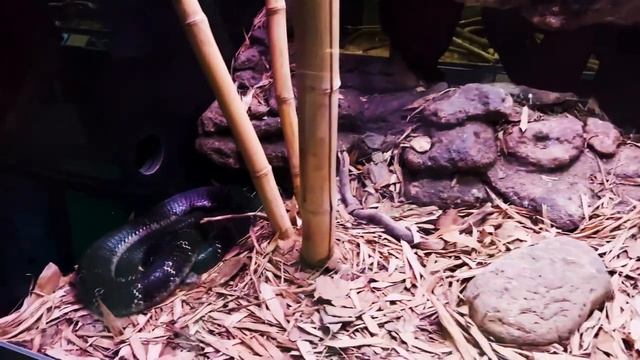 ЗООПАРК ? Путешествие на север Испании ? ЧАСТЬ 3 смотреть онлайн