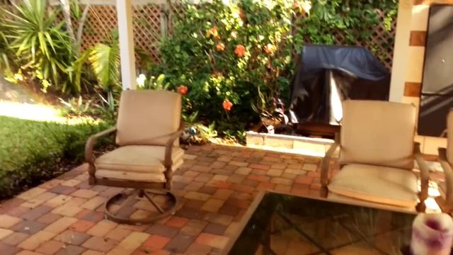 США. Выращиваем бананы словно картошку в своем дворе.