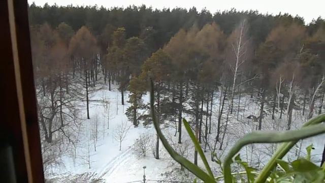 Одуванчики смотреть онлайн