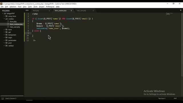 COOKIES di PHP смотреть онлайн